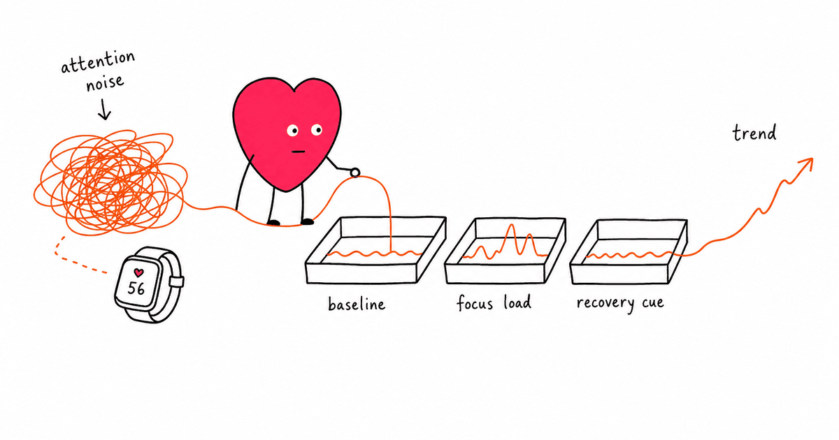 ADHD and HRV: What Heart Rate Variability Reveals About Attention and Regulation