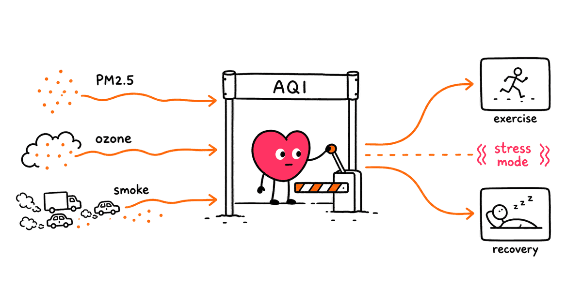 Air Pollution and HRV: How Dirty Air Affects Heart Rate Variability