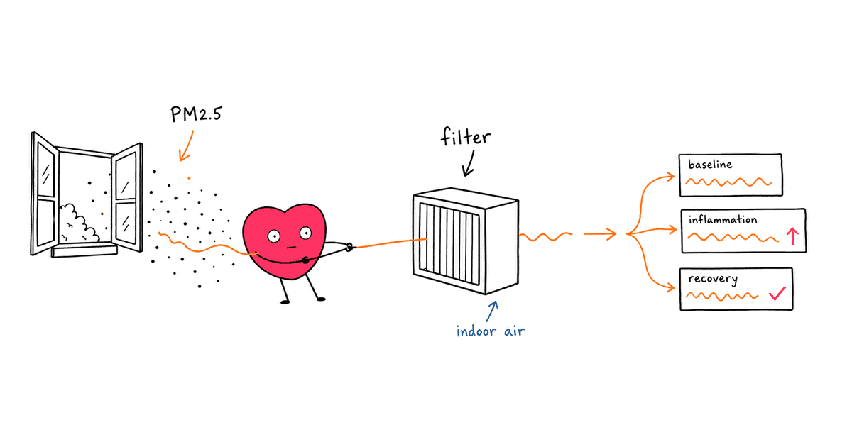 Air Quality and HRV: How Pollution Affects Your Heart Rate Variability