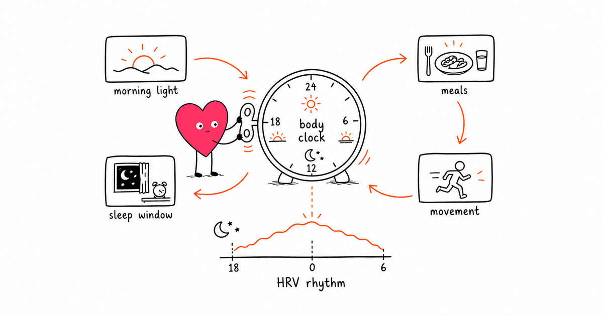 Circadian Rhythm and HRV: How Your Body Clock Shapes Heart Rate Variability