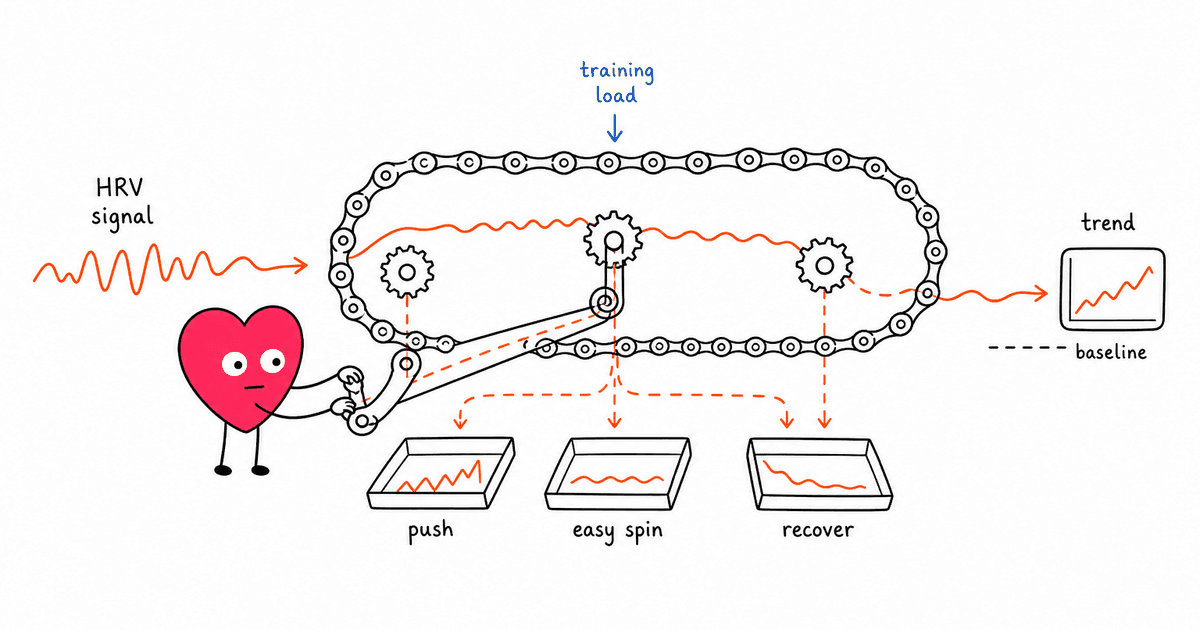 Cycling and HRV: How Cyclists Can Use Heart Rate Variability to Ride Smarter