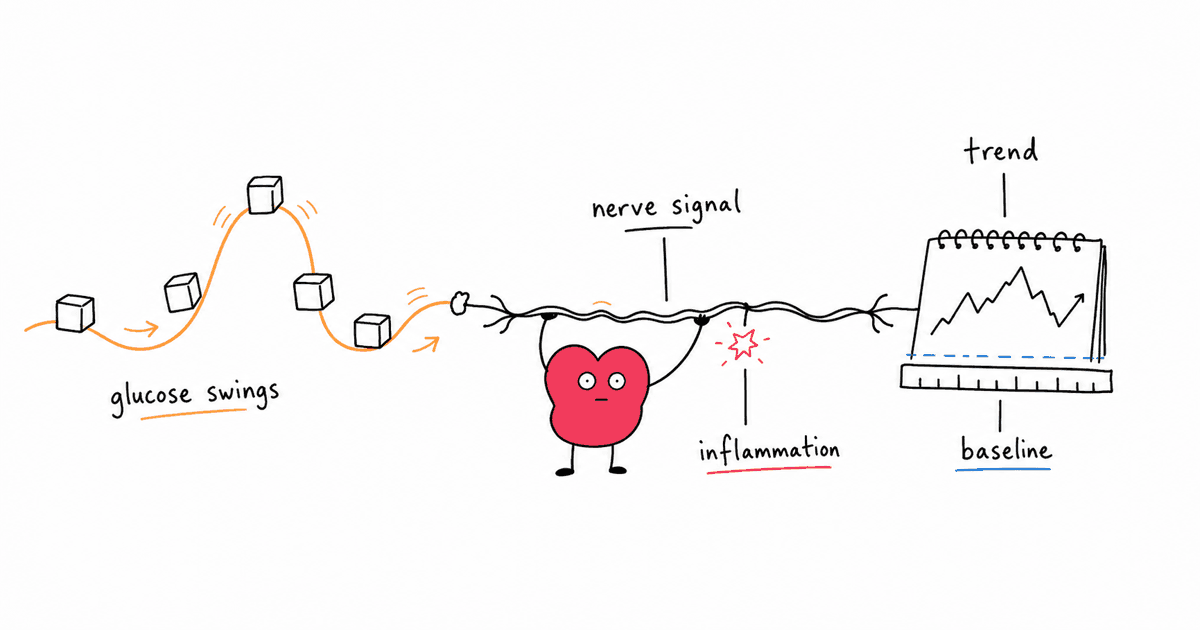 Diabetes and HRV: How Type 1, Type 2, and Prediabetes Affect Heart Rate Variability