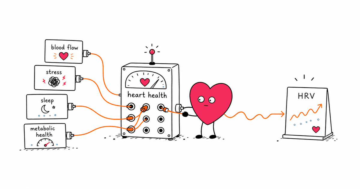 Erectile Dysfunction and HRV: What Autonomic Health Reveals About Men's Heart Health