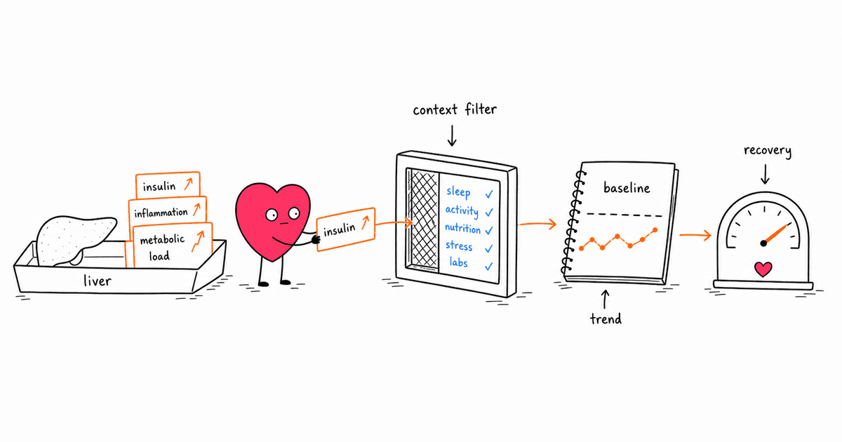 Fatty Liver and HRV: What Your Recovery Data Can Tell You
