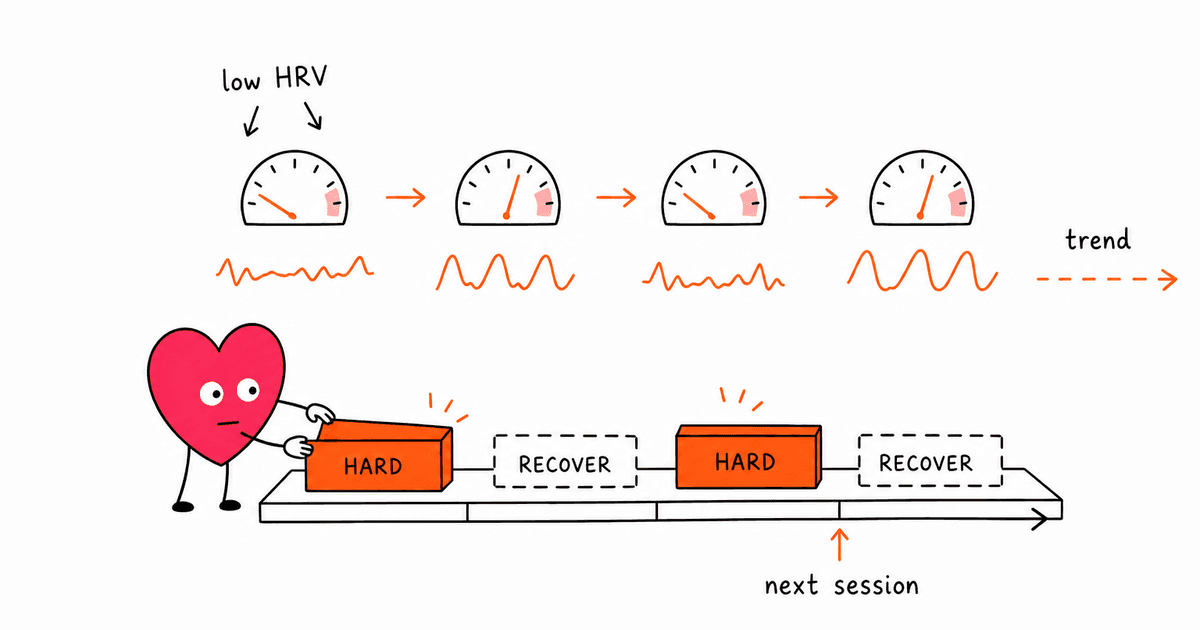HIIT and HRV: How High-Intensity Interval Training Affects Your Heart Rate Variability