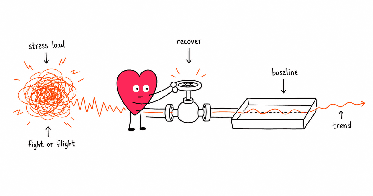 HRV and Stress: How Stress Lowers HRV and What to Do About It