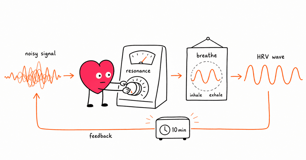 HRV Biofeedback Training: How to Raise Your HRV in Minutes
