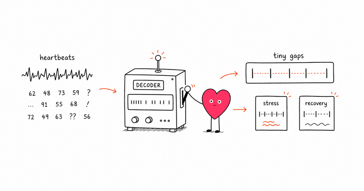 HRV Explained for Dummies: A Plain-English Guide