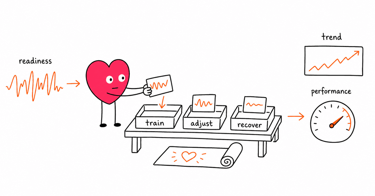 HRV for Athletes: Optimizing Performance and Recovery