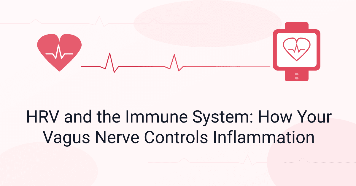 HRV and the Immune System: How Your Vagus Nerve Controls Inflammation