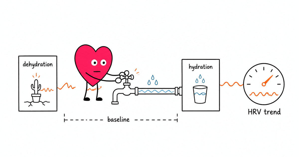 Hydration and HRV: How Water Intake Affects Heart Rate Variability
