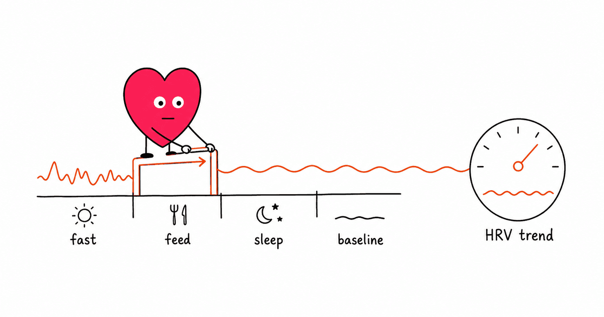 Intermittent Fasting and HRV: What the Research Says About Fasting and Your Nervous System
