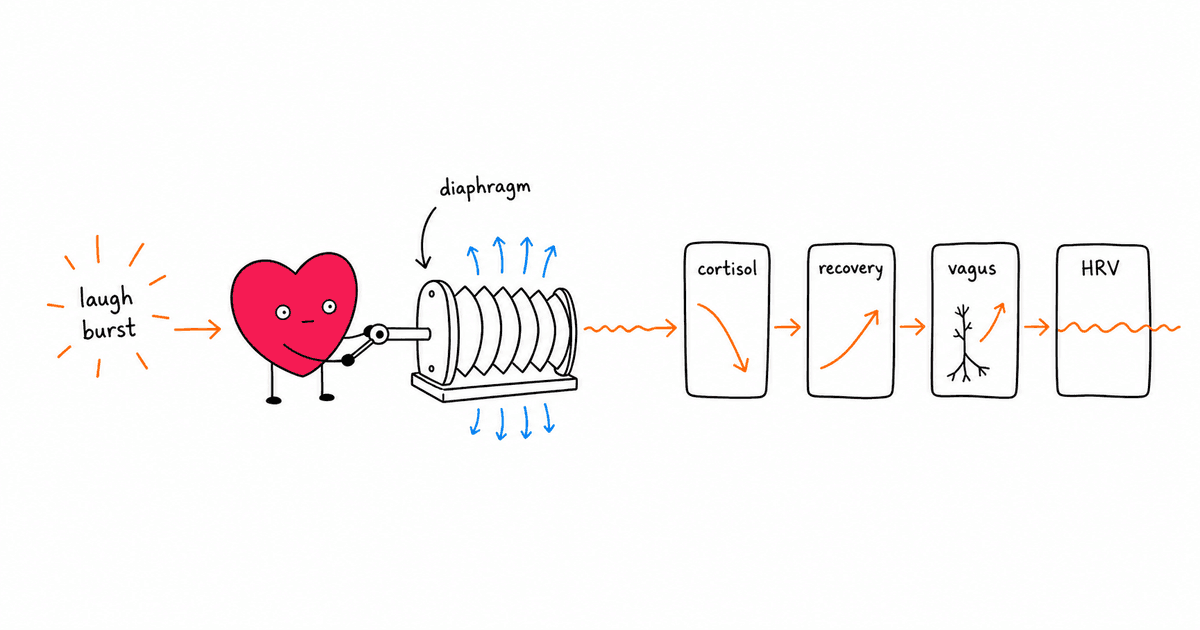 Laughter and HRV: How Humor Affects Your Autonomic Nervous System