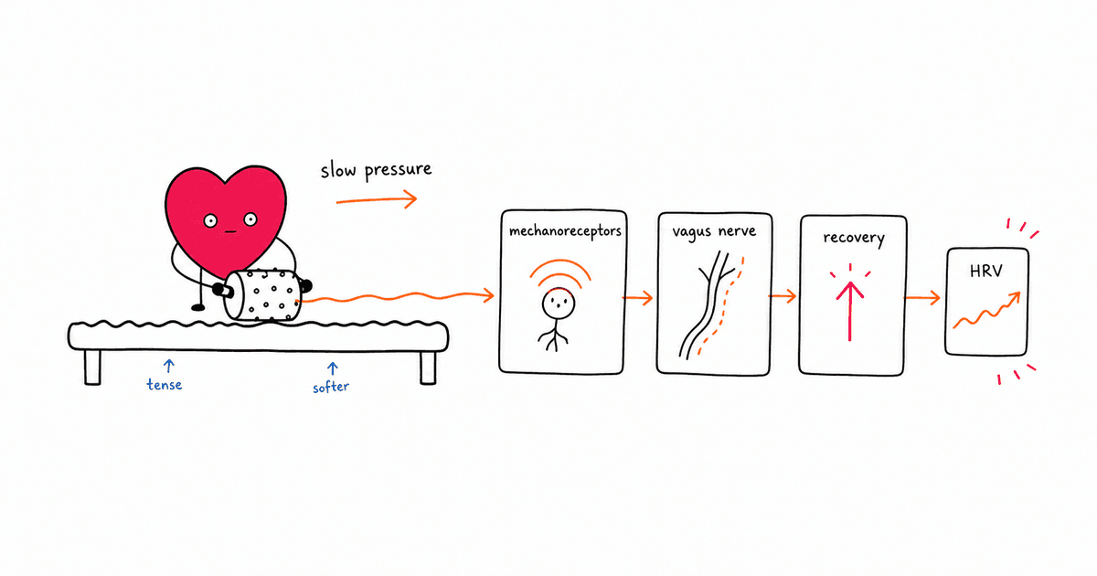 Massage and HRV: How Bodywork Boosts Your Nervous System