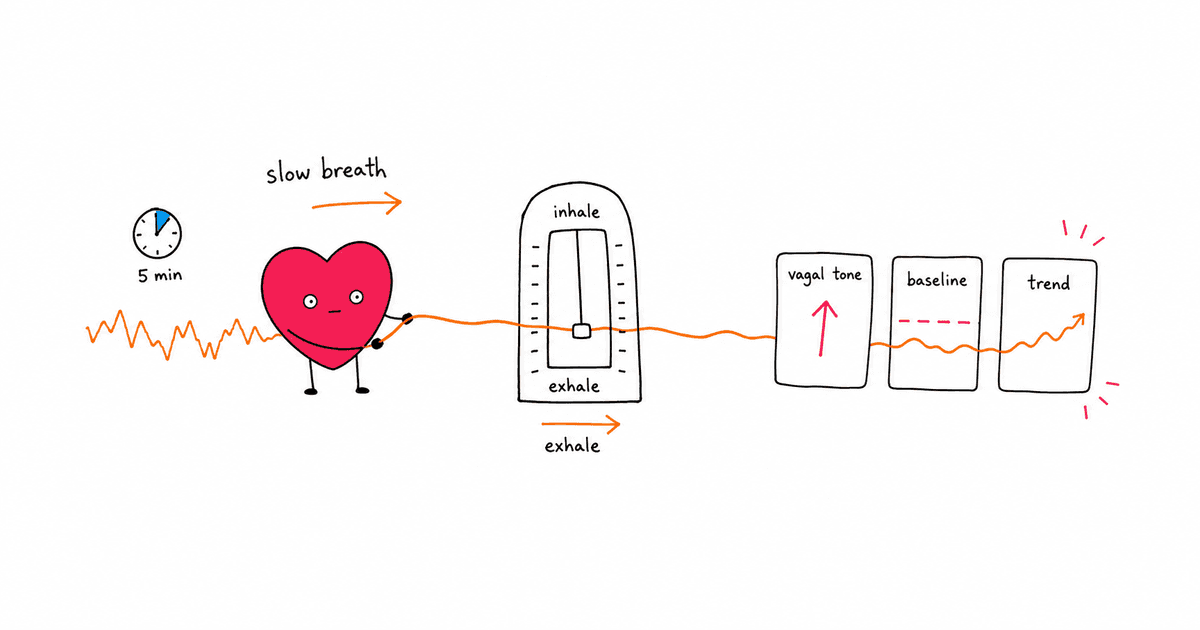 How Meditation Improves Heart Rate Variability: The Science and Practice