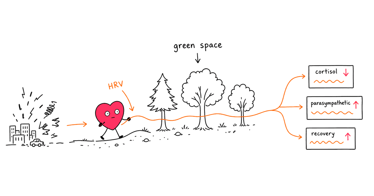 Nature Exposure and HRV: How Time Outdoors Boosts Your Nervous System