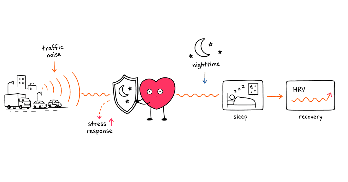Noise Pollution and HRV: How Environmental Noise Affects Your Autonomic Nervous System