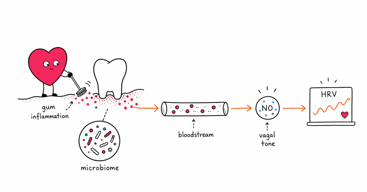 Oral Health and HRV: The Surprising Link Between Your Mouth and Heart Rate Variability