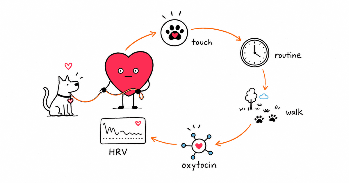 Pets and HRV: How Dog and Cat Ownership Benefits Heart Rate Variability