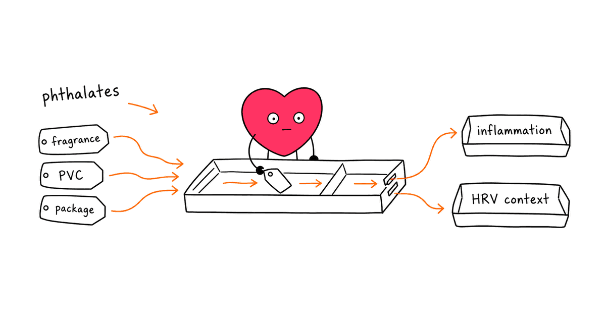 Phthalates and HRV: How Plasticizers May Affect Heart Rate Variability