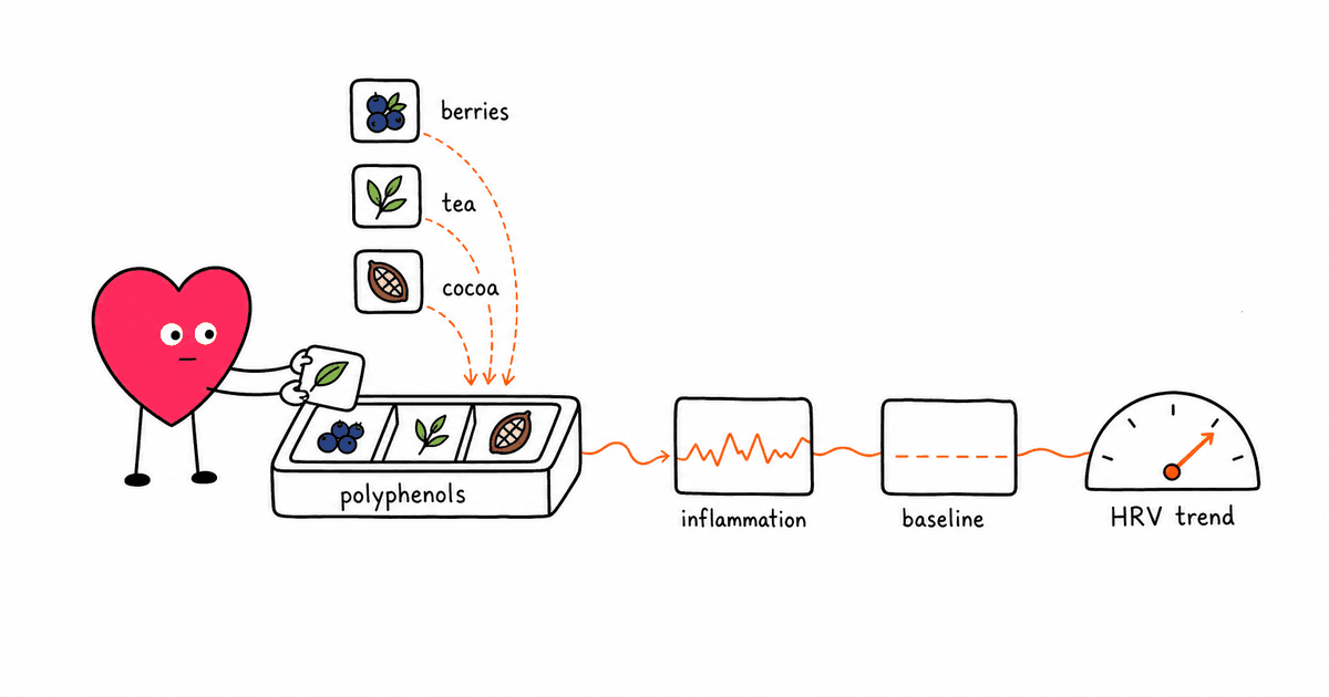 Polyphenols and HRV: How Plant Compounds Affect Heart Rate Variability