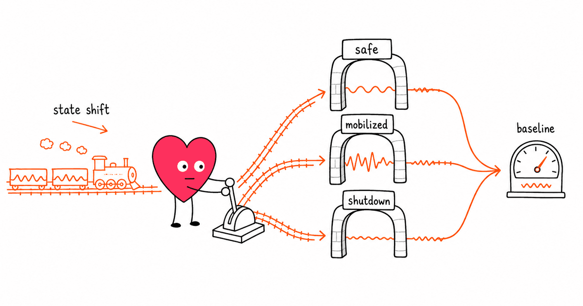 Polyvagal Theory and HRV: Understanding Your Nervous System's Three States