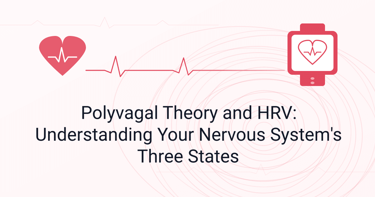 Polyvagal Theory and HRV: Understanding Your Nervous System's Three States