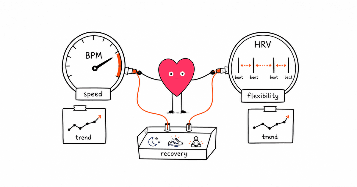 Resting Heart Rate vs. HRV: What Each Metric Tells You About Recovery, Fitness, and Heart Health