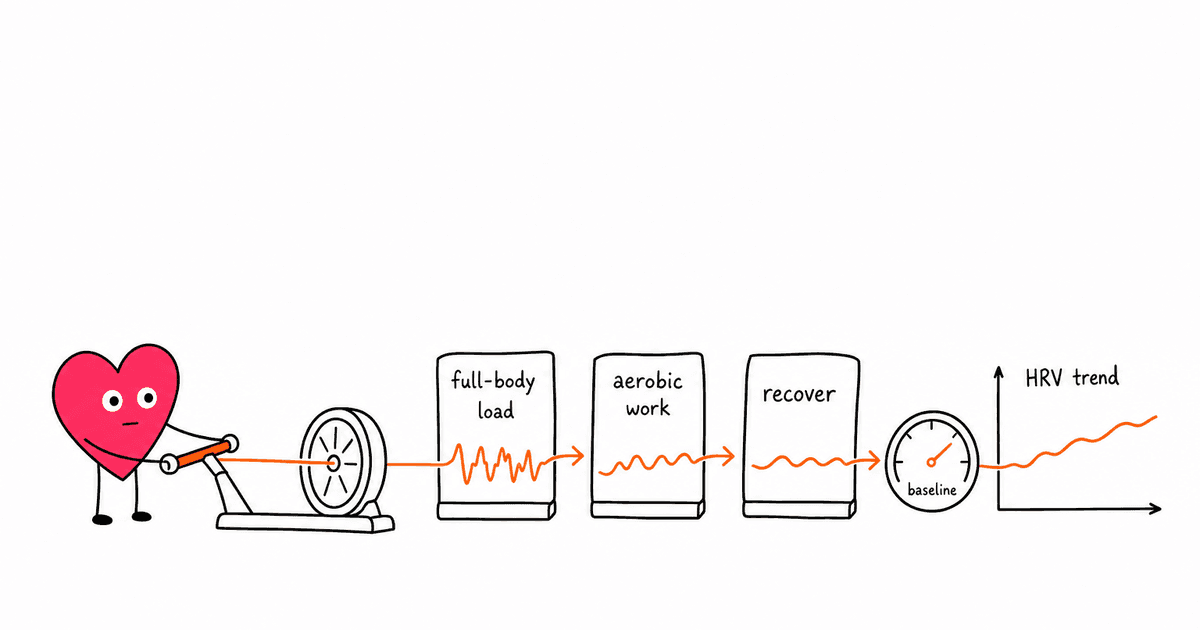 Rowing and HRV: How the Ultimate Full-Body Workout Affects Heart Rate Variability