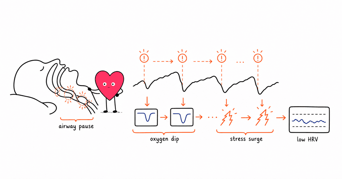 Sleep Apnea and HRV: How Obstructive Sleep Apnea Disrupts Autonomic Balance