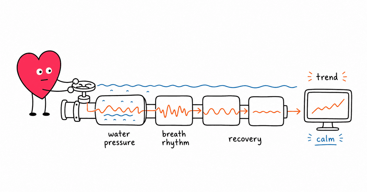 Swimming and HRV: Why Water-Based Exercise Is Uniquely Good for Heart Rate Variability
