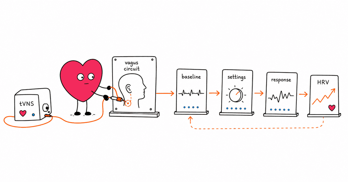 Vagus Nerve Stimulation and HRV: Can Electrical Devices Boost Your Autonomic Health?