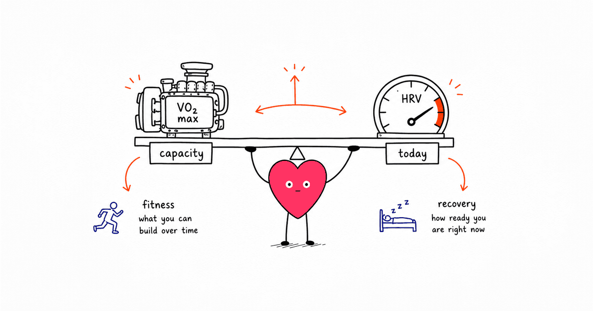 VO2 Max vs. HRV: What Each Metric Says About Fitness, Recovery, and Longevity