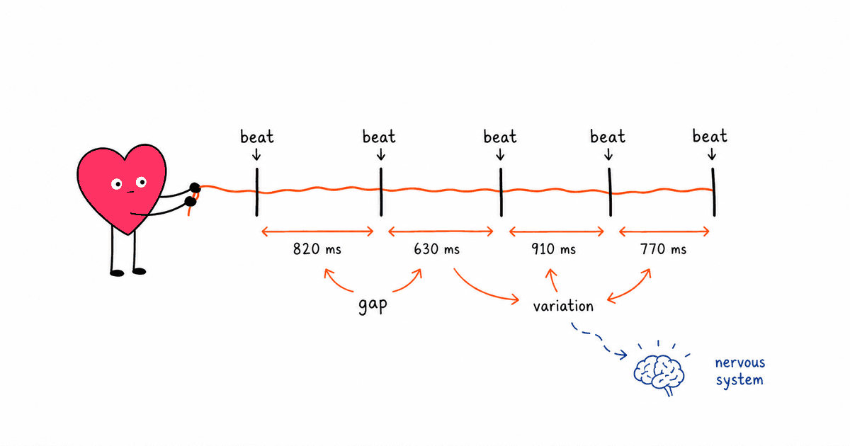 What Is HRV? Understanding Heart Rate Variability