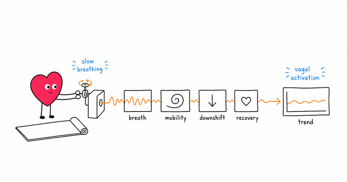 Yoga and HRV: How Yoga Improves Heart Rate Variability