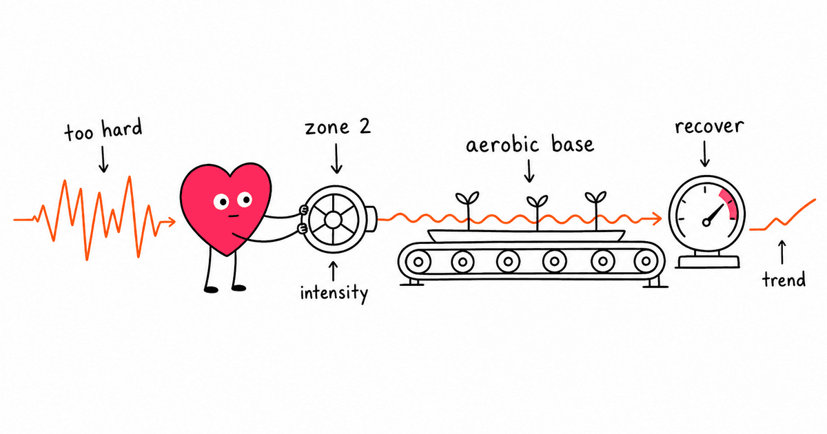 Zone 2 Training and HRV: Build Your Aerobic Base While Boosting Recovery